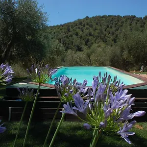 https://il-pino-vetulonia.it-tuscanyhotel.com